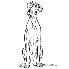 Dog vector, line art Dog, Dog outline, Dog svg, Dog png, Dog illustration, Labrador Retriever Dog, German Shepherd Dog, Golden Retriever Dog, Bulldog Dog, Beagle Dog, Poodle Dog, Boxer Dog, Dachshund 