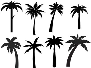 Set of palm trees, coconut tree, palm trees silhouette