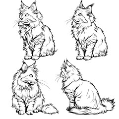 cat vector, line art cat, cat outline, cat svg, cat png, cat illustration, Persian cat, Siamese, Maine Coon, Persian, Ragdoll, Bengal, Scottish Fold, Sphynx, Abyssinian, Russian Blue, Norwegian Forest