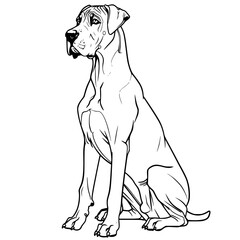 Dog vector, line art Dog, Dog outline, Dog svg, Dog png, Dog illustration, Labrador Retriever Dog, German Shepherd Dog, Golden Retriever Dog, Bulldog Dog, Beagle Dog, Poodle Dog, Boxer Dog, Dachshund 