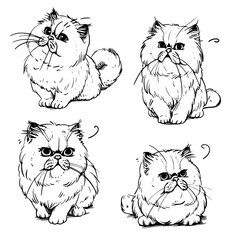cat vector, line art cat, cat outline, cat svg, cat png, cat illustration, Persian cat, Siamese, Maine Coon, Persian, Ragdoll, Bengal, Scottish Fold, Sphynx, Abyssinian, Russian Blue, Norwegian Forest