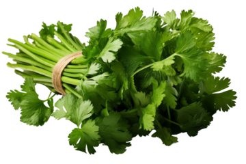 Fresh cilantro adds a bright, citrusy flavor to your favorite dishes. It is also known as coriander and is a popular herb in Mexican, Indian, and Southeast Asian cuisine.
