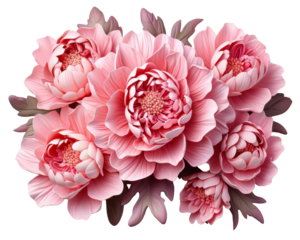 Light pink roses are a symbol of grace and elegance. They are often given as gifts to express love and appreciation.