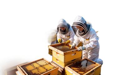 suit beehives city beekeeper towns flying beekeeping background working urban protective concept large bees person bee apiarist town apiculture honey man beehive honeycomb hive nature insect work