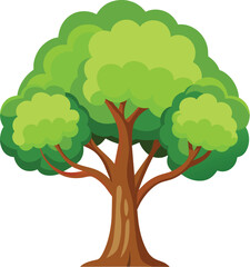 Elm Tree Botanical vector art, elm tree illustration