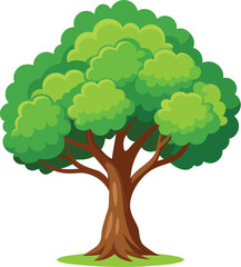 Elm Tree Botanical vector art, elm tree illustration