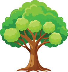 Elm Tree Botanical vector art, elm tree illustration