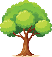 Elm Tree Botanical vector art, elm tree illustration