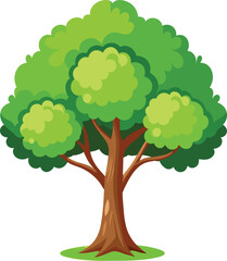 Elm Tree Botanical vector art, elm tree illustration