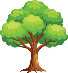 Elm Tree Botanical vector art, elm tree illustration