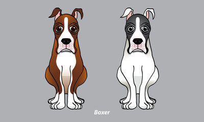 Vector of a cute Boxer. With 2 color options. Vector.