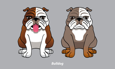 Vector of a cute Bulldog. With 2 color options. Vector.