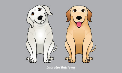 Vector of a cute Labrador. With 2 color options. Vector.
