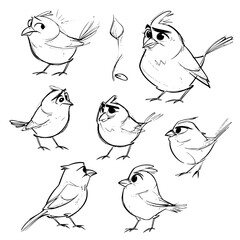 Bird svg, Bird svg bundle, Bird silhouette, Bird cut files, Bird clipart, Birds Clipart, Bird svg files foor cricut, Birds svg, Bird png, Hummingbird SVG, Bird Svg, Flying Bird Svg, Hummingbird Cricut