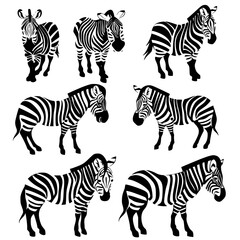 Baby Zebra SVG, Zebra Svg, Zebra Clipart, Doodle Animal Svg, Doodle Zebra Svg, Cute Zebra Svg, Zebra Png, Zebra Vector, Jungle Animal Svg, Cute Baby Zebra Svg, Zebra Outline Svg, Kids Coloring Svg,