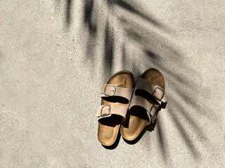 Taupe Buckled Sandals with Palm Tree Shadow Outside