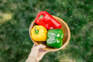 Hand holding a bowl of colorful bell peppers outdoors