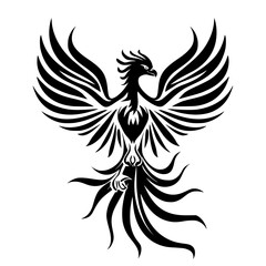 tattoo, vector, design, tribal, bird, pattern, illustration, flower, ornament, decoration, floral, art, silhouette, phoenix, black, element, symbol, fire, leaf, logo, swirl, nature, wing, animal, drag