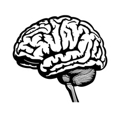 Brain svg, human brain svg, brain png, brain clipart, mental health svg, floral brain svg, brain silhouette, medical svg, flower brain svg, Brain SVG Bundle, Brain SVG, Brain PNG, Brain Clipart, Brain