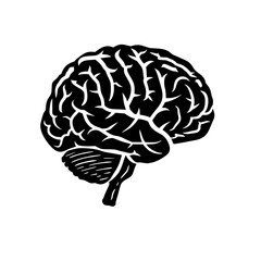Brain svg, human brain svg, brain png, brain clipart, mental health svg, floral brain svg, brain silhouette, medical svg, flower brain svg, Brain SVG Bundle, Brain SVG, Brain PNG, Brain Clipart, Brain