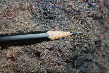 debris from a pencil sharpener black pencil wood on a white background