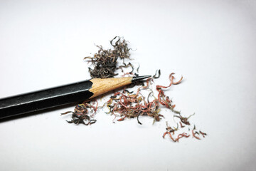 debris from a pencil sharpener black pencil wood on a white background