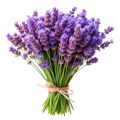 Obraz premium Close-up Isolated Flowers