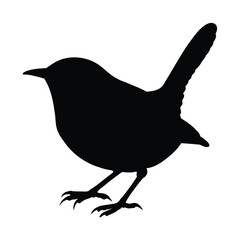 silhouette of a wren bird 