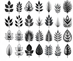 Fototapeta premium Collection of Black and Gold Leaf Silhouettes and Patterns Isolated on White Background 