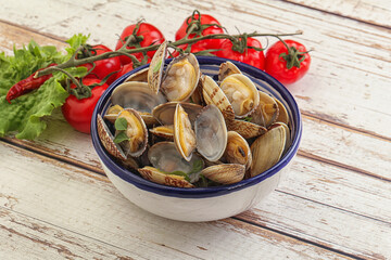 Vongole shellfish mollusc clem with butter
