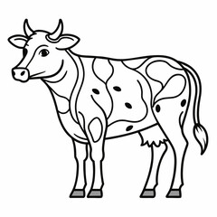 black and white cow