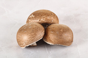 Raw brown champignon for cooking