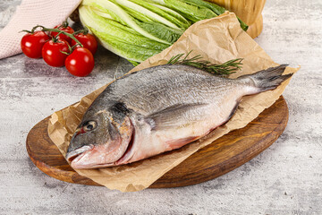 Raw dorada fish served rosemary