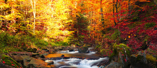 river in forest, picturesque autumn scenery, fantastic early morning in the forest	