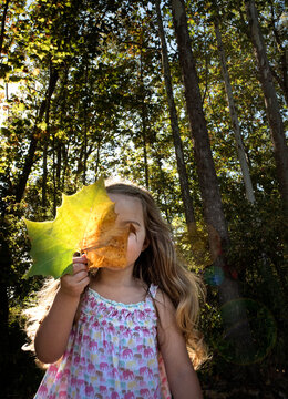 Little girl long blonde hair hiding behind giant colorful leaf