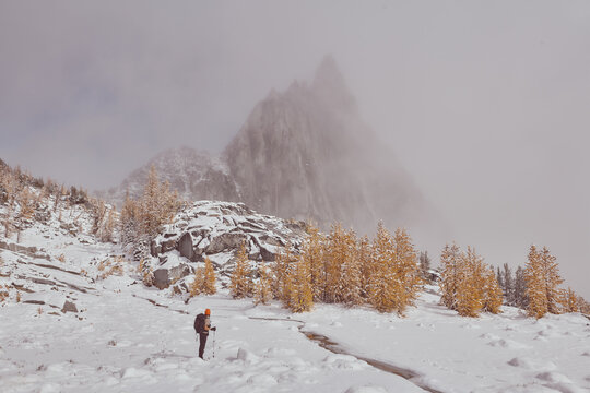 The jagged spire of Prusik Peak and yellow larches of autumn ref