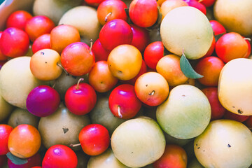organically grown plums of various sizes and colors and leaves