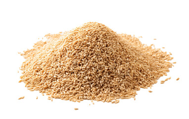 Bunch of Dried Sesame Seeds on Transparent Background.