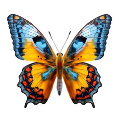 Beautiful blue yellow butterfly. Generative AI.
