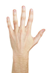 An open human hand with visible fingers against a white background, depicting a concept of counting...