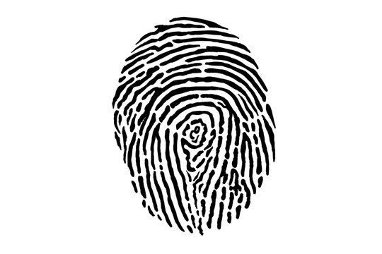 A black fingerprint pattern centered on a white background, representing identity or security concepts