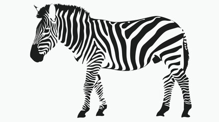 Zebra cartoon black silhouette in white background vector