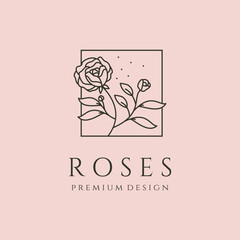 rose line icon vector illustration design
