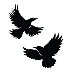 drawn flying raven on a white background Vector illustration