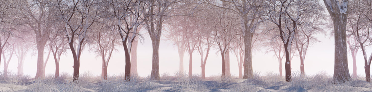 Winter Woodland with Snow covered Trees in a Pale Mist. Seasonal Banner.