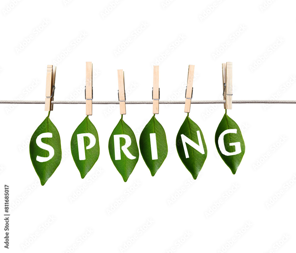 Poster green leaves with 