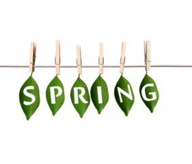 Green leaves with "SPRING" letters hanging on a line with wooden clips, isolated on a white background, concept of spring season