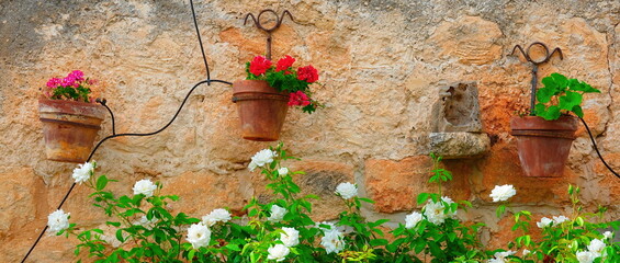 Hanging Flower Pots On Stone Wall Lush Greenery Wide Shot