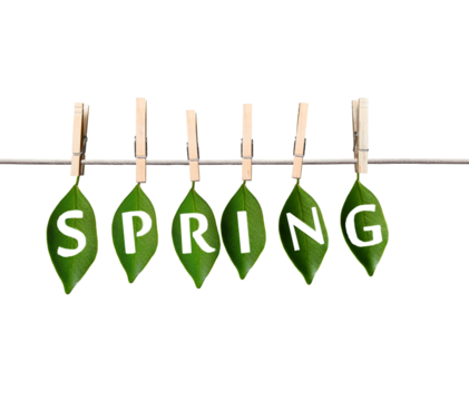 Green leaves with "SPRING" letters hanging on a line with wooden clips, isolated on a white background, concept of spring season