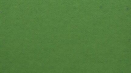 Fototapeta premium Green abstract wall texture background